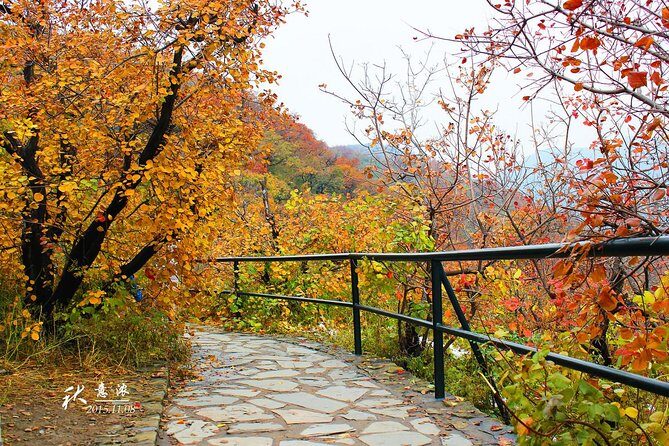 Beijing Private Tour to Summer Palace and Fragrant Hill with Cable Car Ride - An In-Depth Look at the Tour Itinerary