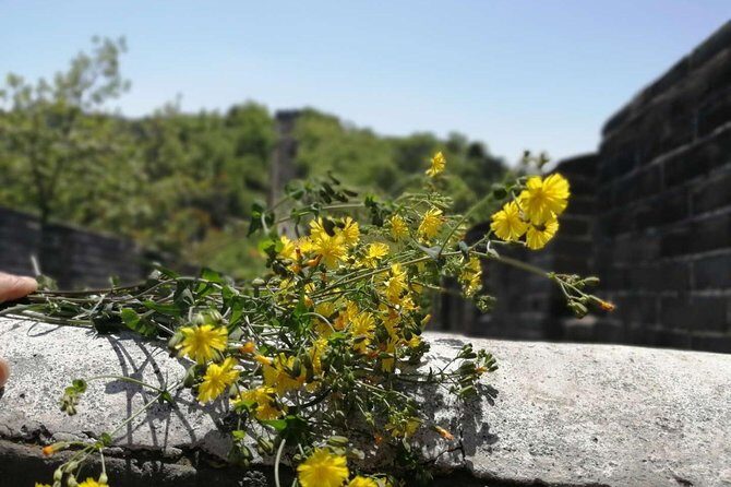 Beijing Private Transfer to Badaling Great Wall - Transportation Comfort and Convenience