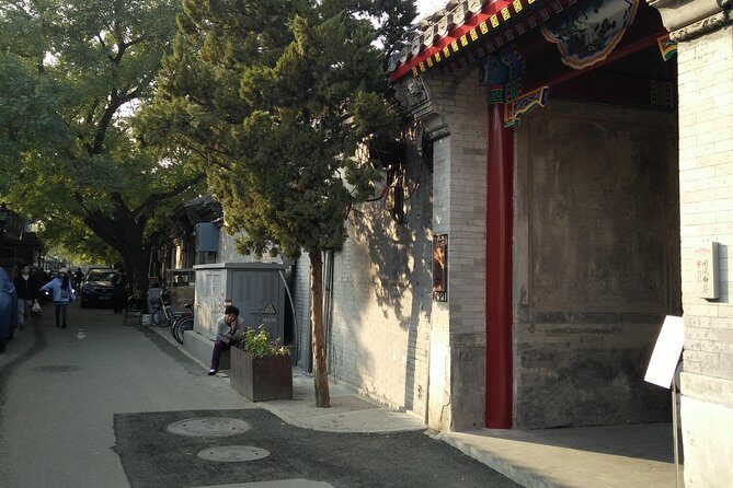 Beijing Tailored Privated Trip by English Driver-Translation APP - Cost and Value