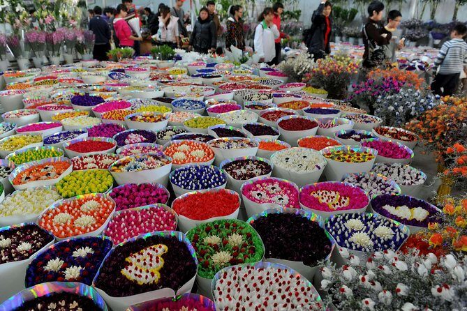 Beijing World Park and Flower Market Visiting with Private Driver Service - A Closer Look at the Itinerary: What You Can Expect