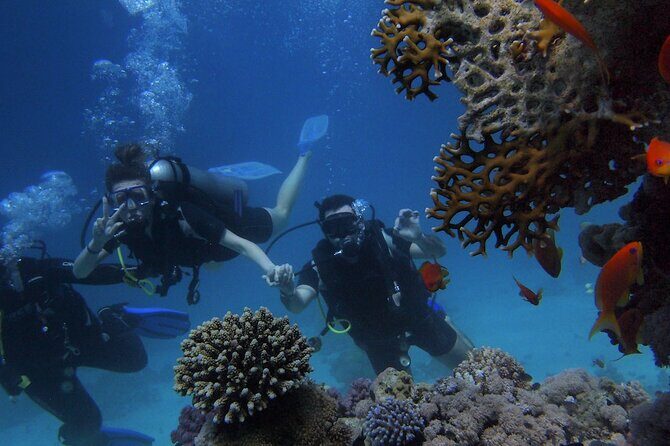 Belek Scuba Diving Experience (2 Dives) With Lunch - An Honest Look at the Belek Scuba Diving Tour