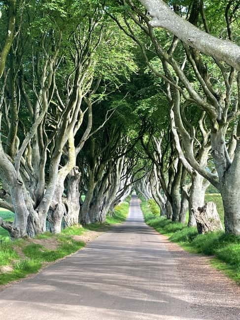 Belfast: Game of Thrones and Giants Causeway Private Tour - Key Points