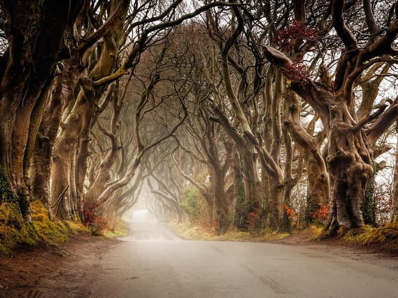 Belfast: Giant's Causeway Tour and 2-Day Open Top-Bus Tour - Who Will Love This Tour?