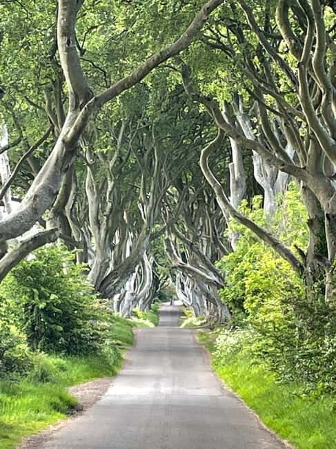 Belfast: Giants Causeway Tour Cruise Ship Excursion - Belfast: Giants Causeway Tour Cruise Ship Excursion — A Detailed Look