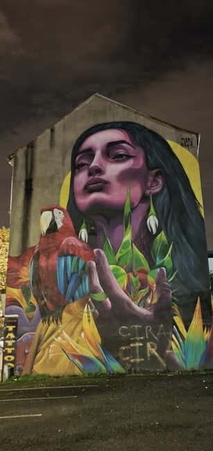 Belfast : Pub Music , Street Art Experience Walking Tour - Who Might Not Find It Perfect