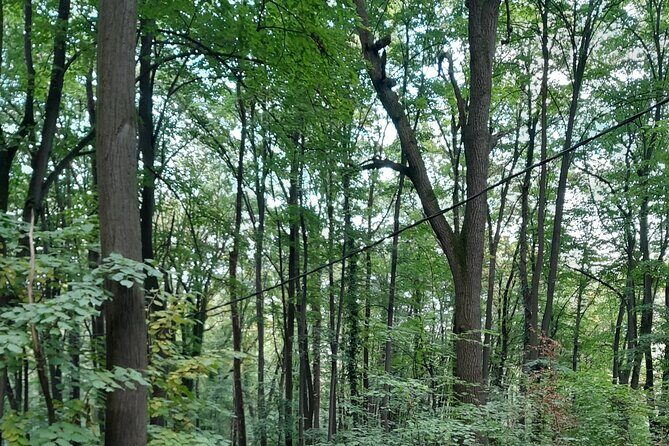 Belgrade Hiking Tour On Mountain Avala - Final Thoughts