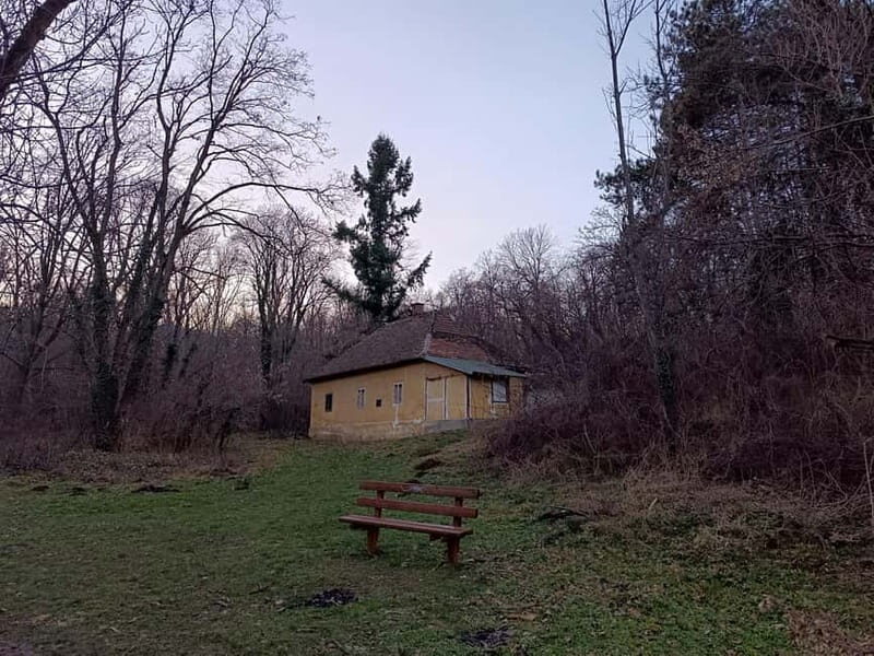 Belgrade: Kosutnjak forest hiking tour - An In-Depth Look at the Belgrade: Kosutnjak Forest Hiking Tour