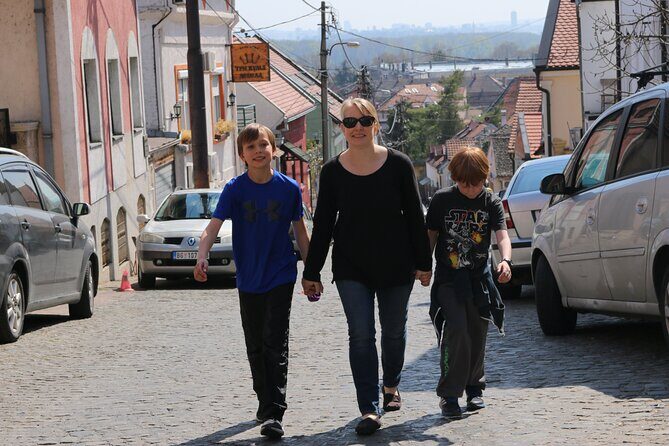 Belgrade Private City Tour  Metropolis Between East and West - FAQs