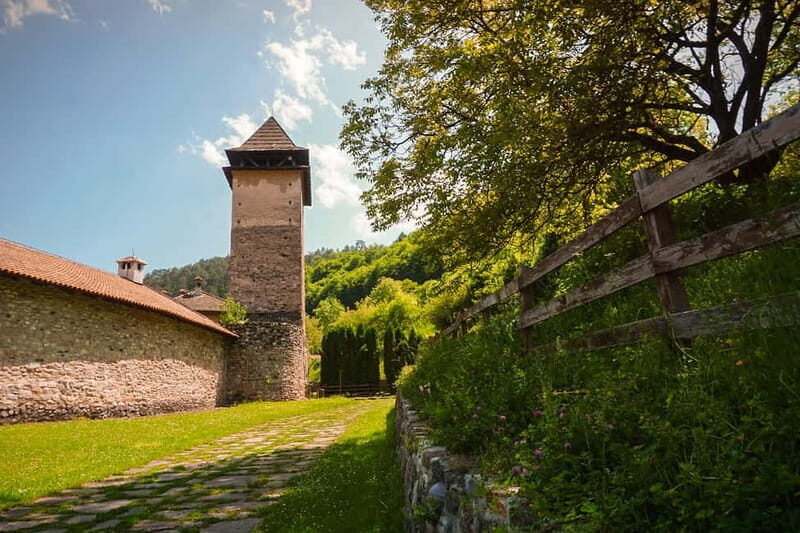 Belgrade: Studenica Monastery & Zica Monastery Full-Day Tour - A Deep Dive into the Experience
