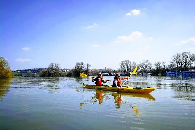 Belgrade War Island Kayak Tour - Detailed Breakdown of the Tour