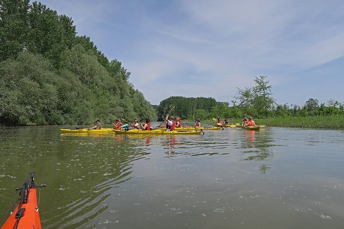 Belgrade War Island Kayak Tour - What Reviewers Love Most