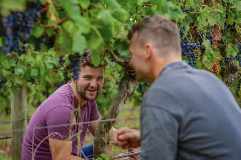 Bellarine Winery: Texas BBQ Platter Lunch with Wine - Key Points