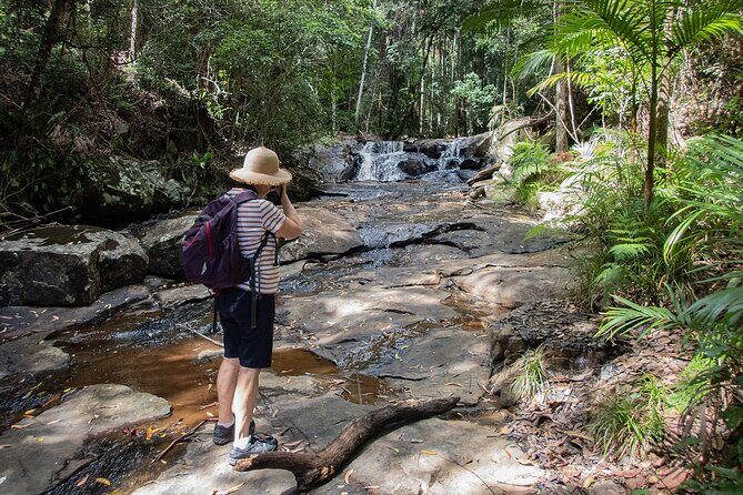 Bellthorpe Rainforest Private Tour - Who Is This Tour Best For?