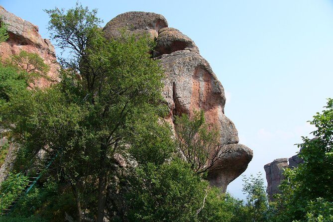 Belogradchik Full-day Tour from Sofia - Authentic Experiences from Reviews
