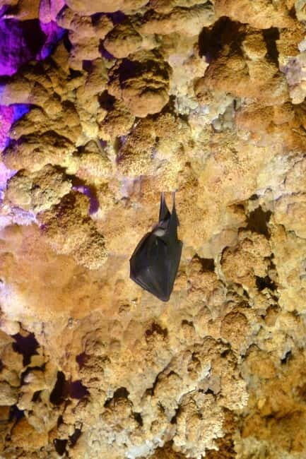 Belogradchik Rocks & Venetsa cave- small group tour - Who Will Love This Tour?