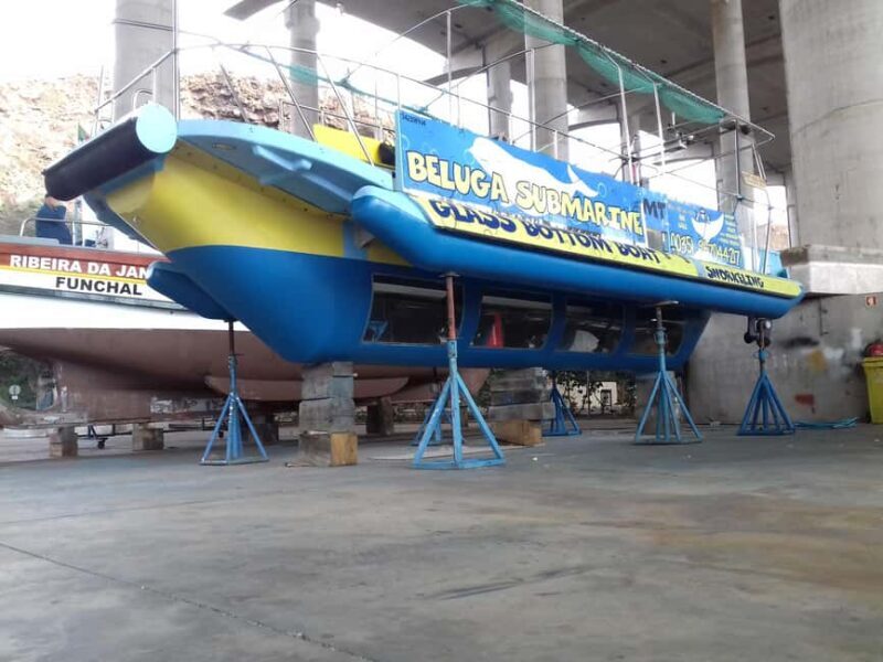 Beluga Submarine Glass-Bottom Boat Tour w/ Snorkeling Option - What We Think About the Value