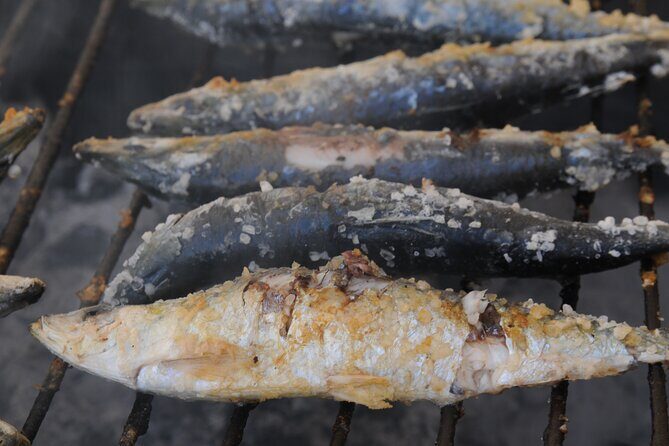 Benagil Cave & Beach BBQ - Scenic Highlights and Water Encounters