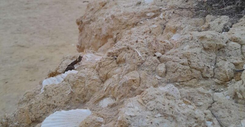 Benagil E-bike tour - An In-depth Look at the Benagil E-bike Tour