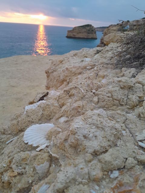 Benagil E-bike tour - FAQ