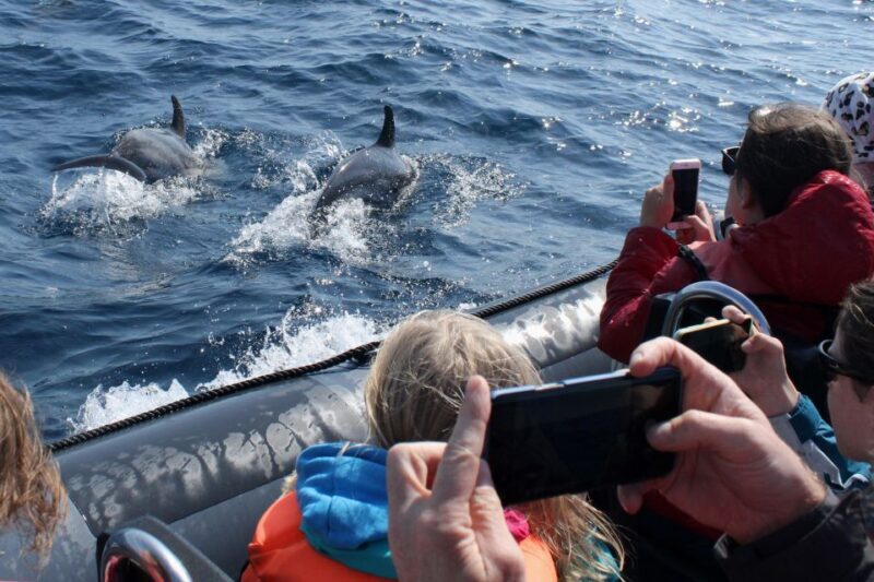 Benagil Tour - What’s Included and What’s Not