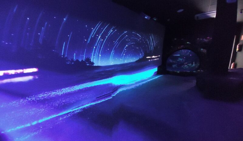 Benalmadena Aquarium Visit - A Closer Look at What You Can Expect