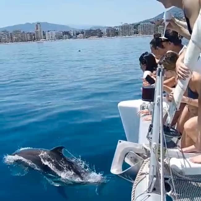 Benalmádena: Catamaran with dolphin watching and drinks - Key Points