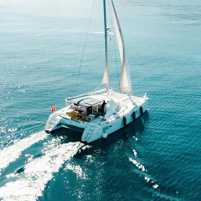 Benalmádena: Catamaran with dolphin watching and drinks - A Deep Dive into the Experience