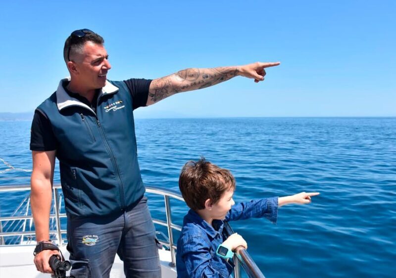 Benalmadena: Dolphin Watching Boat Tour - Summertime and Sea Swimming