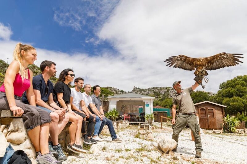 Benalmádena: Mount Calamorro Cable Car Ticket - Authentic Experiences and What Travelers Say