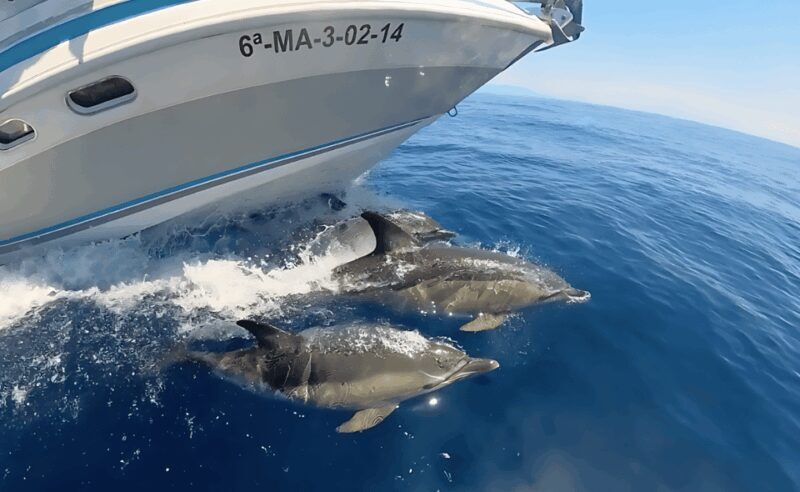Benalmadena: Private Boat Trips - FAQ