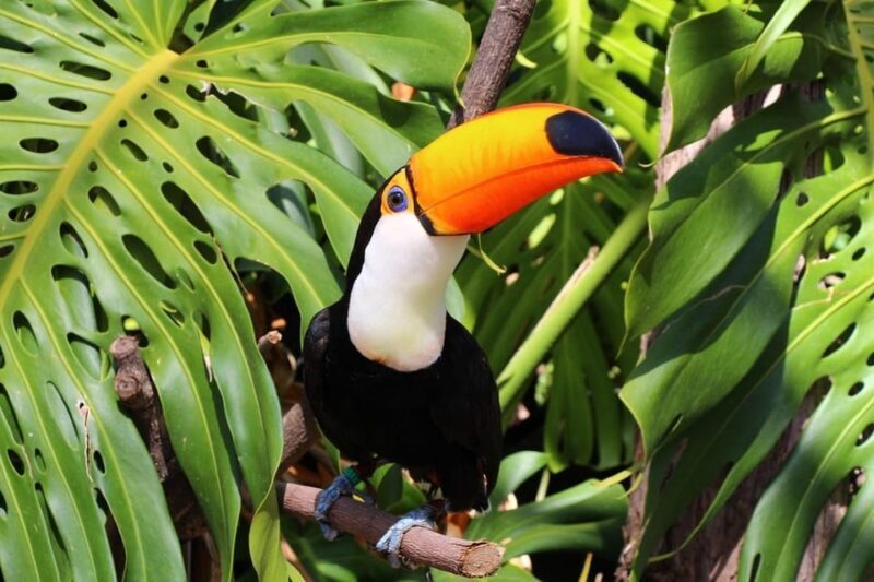 Benalmadena: Selwo Marina Admission Ticket - Final Thoughts