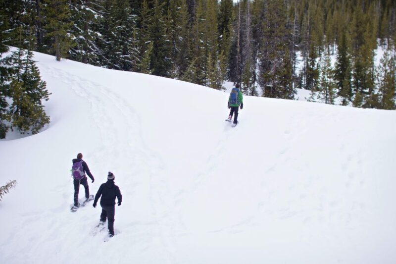 Bend: Half-Day Shoes, Brews, and Views Tour - Final Summary