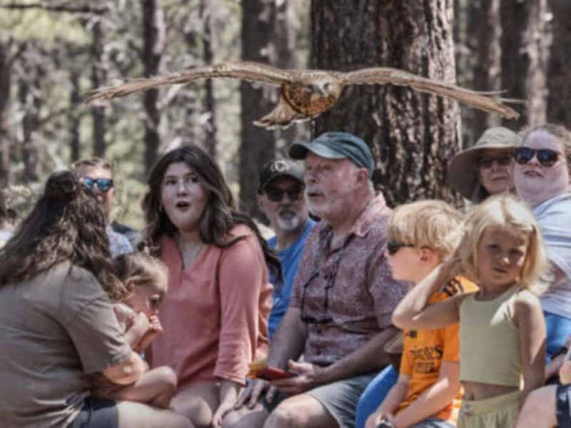 Bend: High Desert Museum Entry Ticket - A Detailed Look at the High Desert Museum Experience