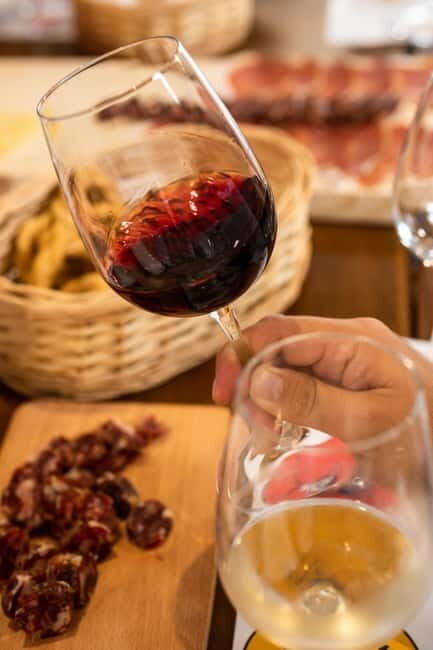 Benevento: picnic among the olive groves of the Sannio and tour of the estate - Key Points