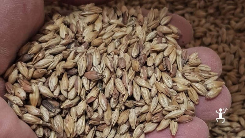 Benevento: visit and tasting at a brewery in Apollosa - A Deep Dive Into the Brewery Experience