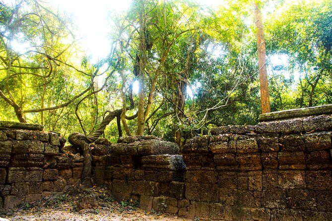 Beng Mealea Temple and Rolous Group - Who Is This Tour Best For?