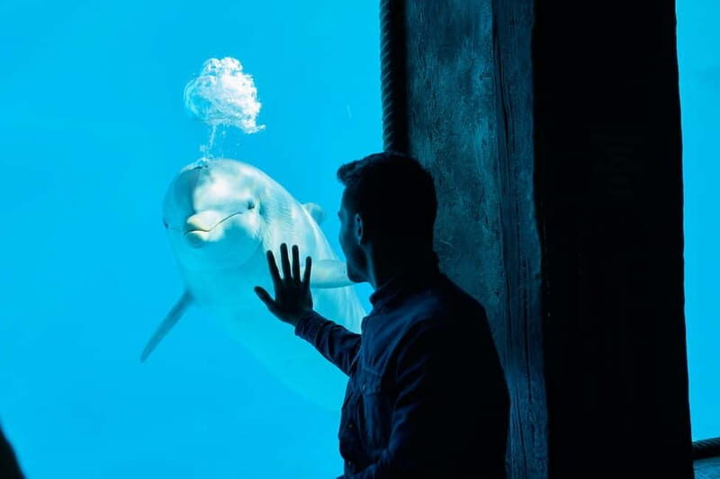 Benidorm: Mundomar Animal Park Entrance Ticket - The Sum Up: Is Mundomar Worth Visiting?