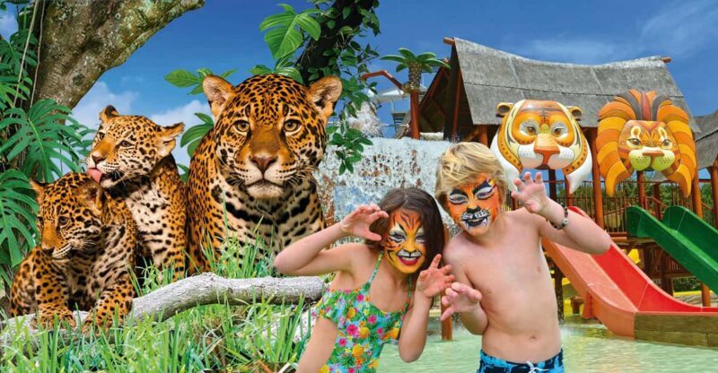 Benidorm: Terra Natura and Aqua Natura Combo Day Ticket - Aqua Natura Benidorm: Water Park Fun for All