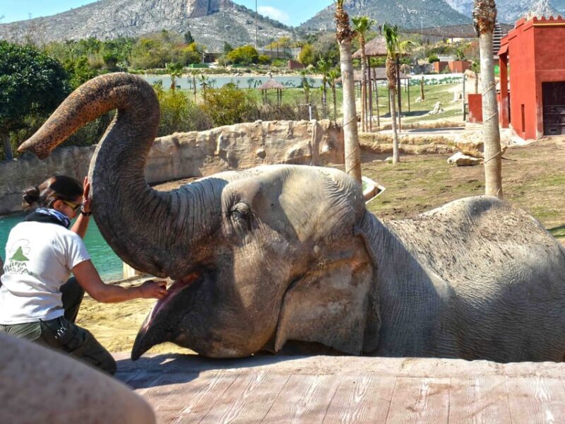 Benidorm: Terra Natura and Aqua Natura Combo Day Ticket - Combining Land and Water: Perfect for a full day