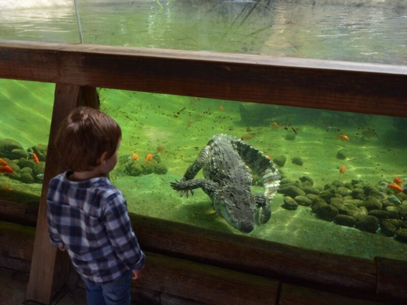 Benidorm: Terra Natura Theme Park 1-Day Tickets - Final Verdict