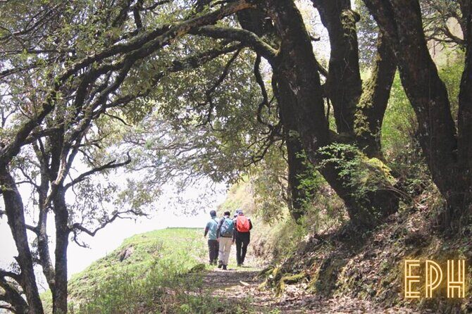Benog Tibba Day Hike - Mussoorie - The Experience in Detail