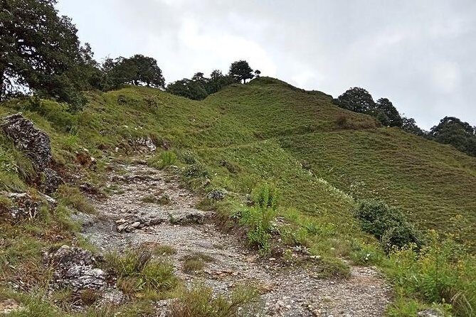 Benog Tibba Nature Trail - Exploring the Benog Tibba Nature Trail: A Guide to the Himalayan Adventure