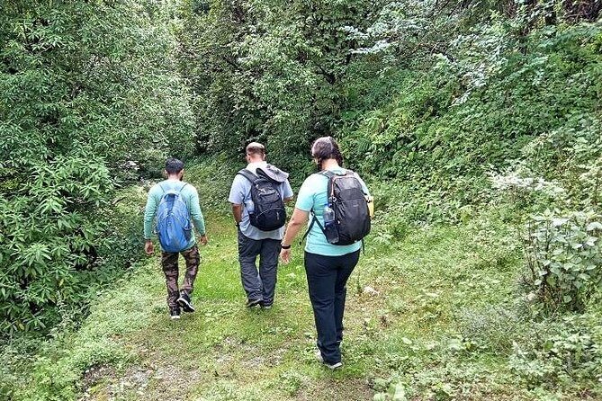 Benog Tibba Nature Trail - The Full Experience of the Benog Tibba Nature Trail