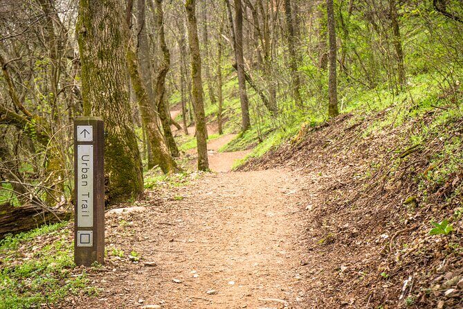 Bentonville Singletrack Mountain Bike Tour - Pricing and Value Analysis