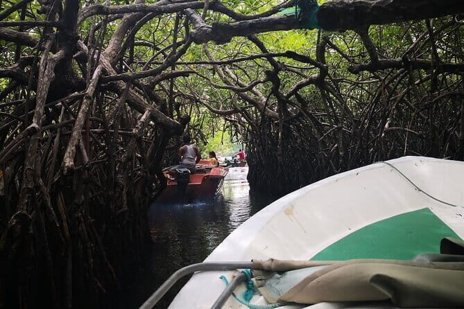 Bentota City Tour and Galle from Bentota - Key Points