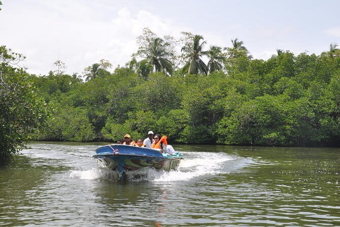 Bentota City Tour from Hikkaduwa - A closer look at the tour: What to expect and why it matters