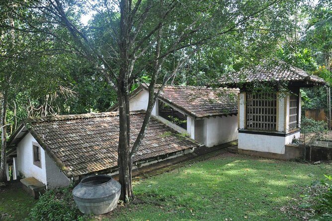 Bentota City Tour from Mirissa - Who Should Consider This Tour?