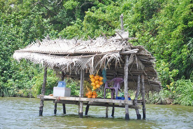 Bentota City Tour from Tangalle - Key Points