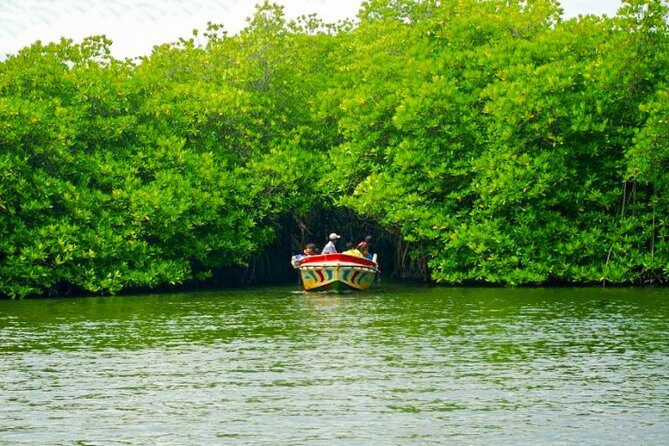Bentota City Tour from Tangalle - Who Would Love This Tour?