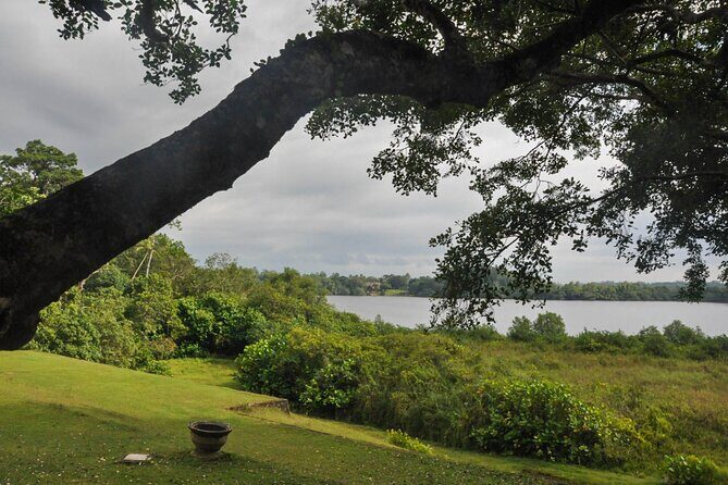Bentota City Tour from Tangalle - The Sum Up: Is the Bentota City Tour from Tangalle Worth It?